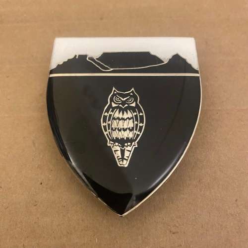 Military Intelligence Cape Regional Office Shoulder Flash