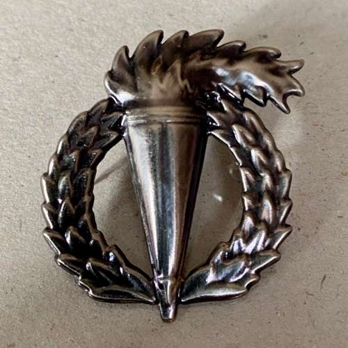 Pathfinder badge