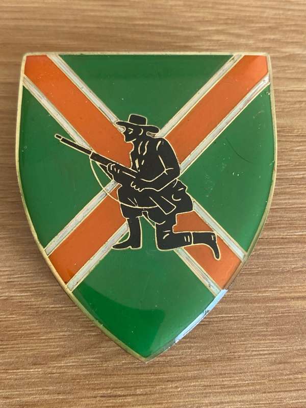 Danie Theron Combat School Shoulder Flash