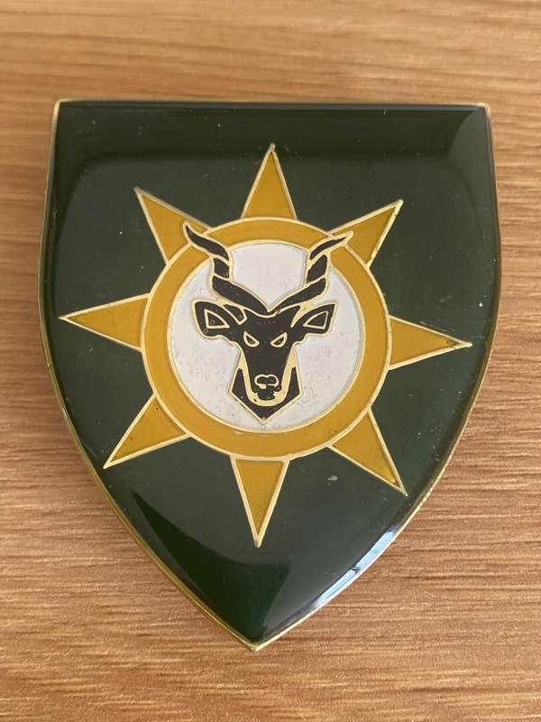 13 SAI (Infantry) Shoulder Flash