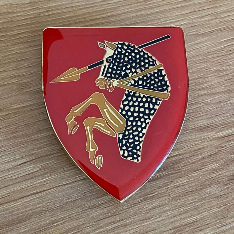 46 SA Brigade Shoulder Flash