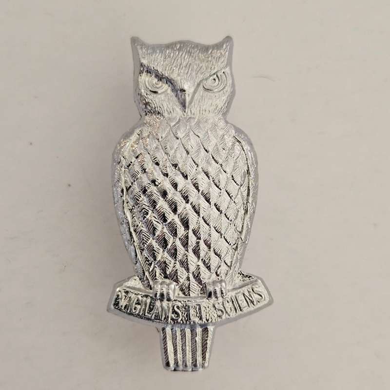 Military Intelligence Beret Badge