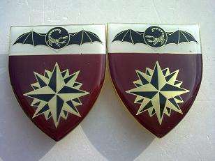 2 Special Forces shoulder flash set