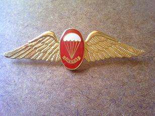Freefall Para. Instructor qualification wing (gold)