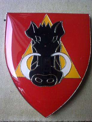 Donkin Regiment shoulder flash