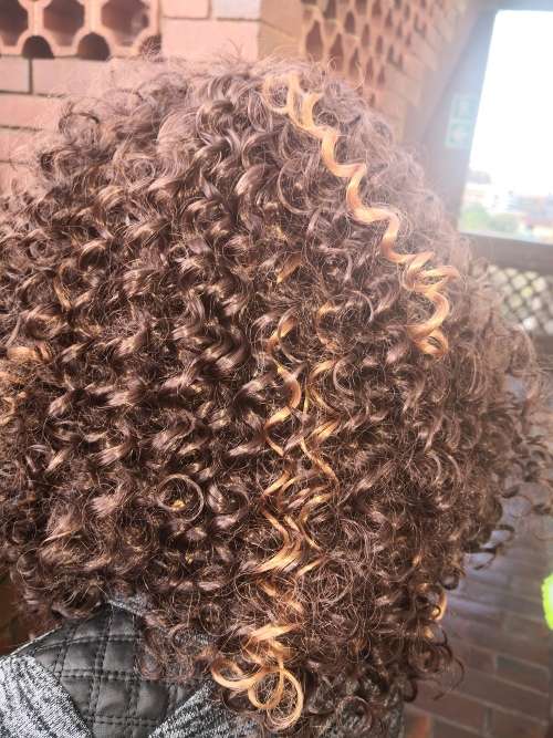 Women Short Wigs Kinky Curly Hair Wigs Synthetic Hair Blonde Brown Mixed Color Brown