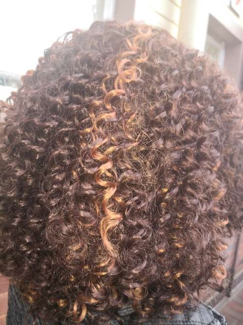 Women Short Wigs Kinky Curly Hair Wigs Synthetic Hair Blonde Brown Mixed Color Brown