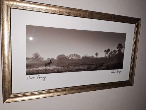 Graham Springer  `Okavango Delta`