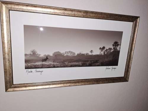 Graham Springer  `Okavango Delta`