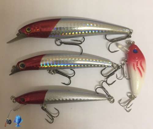 PROBEROS ASST MIX SETS