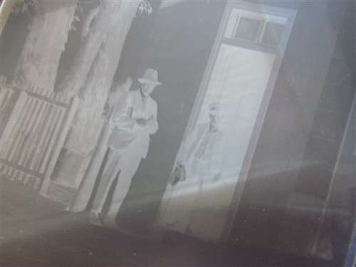Vintage Glass Developer Plates *12 per Box*Great for Art / Museum Display