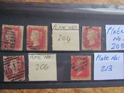 Penny Reds on Stock Card **All for 1 Bid**Low Start**