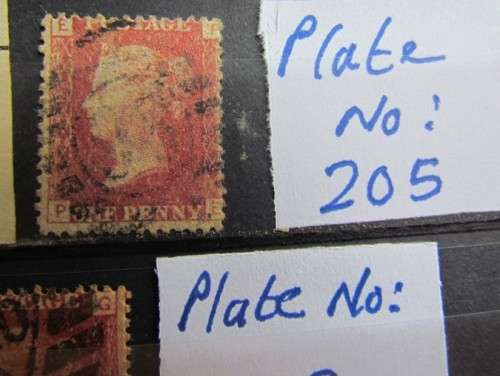 Penny Reds on Stock Card **All for 1 Bid**Low Start**
