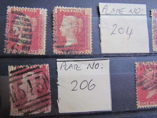Penny Reds on Stock Card **All for 1 Bid**Low Start**