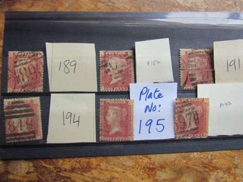 Penny Reds on Stock Card **All for 1 Bid**Low Start**