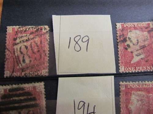 Penny Reds on Stock Card **All for 1 Bid**Low Start**
