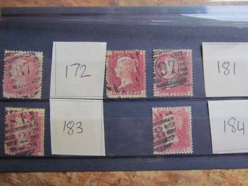 Penny Reds on Stock Card **All for 1 Bid**Low Start**