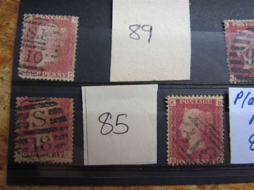 Penny Reds on Stock Card **All for 1 Bid**Low Start**