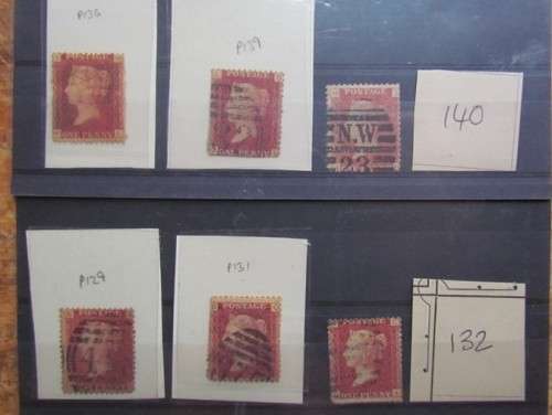 Penny Reds on Stock Card **All for 1 Bid**Low Start**