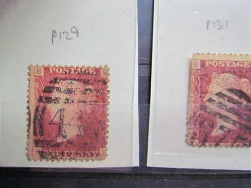Penny Reds on Stock Card **All for 1 Bid**Low Start**