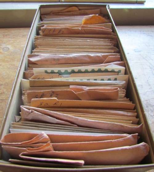 STAMPS FOR CHECK & SORT - SHOE BOX FULL OF ASSORTED ENVELOPES - DUPLICATES