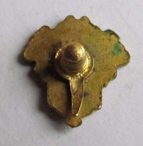 PACKARD **SCARCE** OLD ENAMMELLED BADGE *ASK THE MAN WHO OWNS ONE*