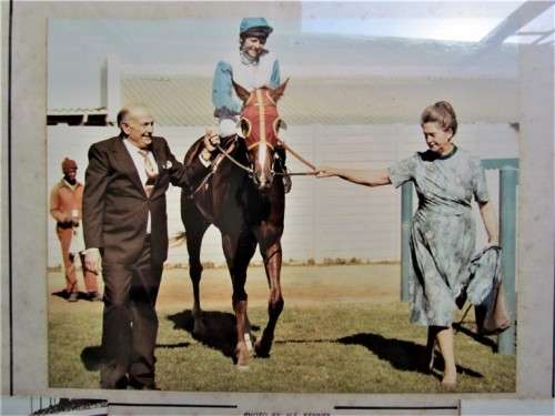 HORSE RACING WINNERS - SMASHER MAN - MEMORABILIA 1982