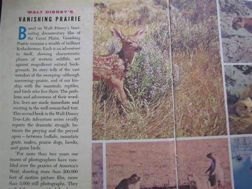 WALT DISNEY - 1955 VANISHING PRARIE - TRUE LIFE ADVENTURE