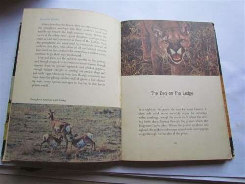 WALT DISNEY - 1955 VANISHING PRARIE - TRUE LIFE ADVENTURE
