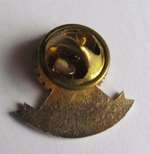 ROTARY - IMMEDIATE PAST PRESIDENT BADGE