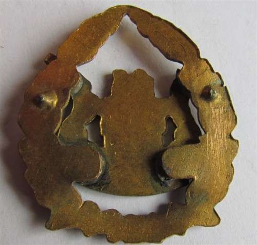 SA Prison Services Warrant Officer sleeve rank badge