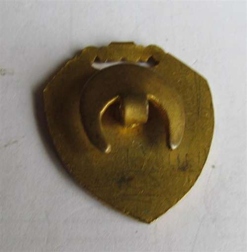 GORDON`S - ENAMELLED `PULL TOGETHER`BADGE