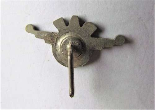 SMALL DAF EINDHOVEN NETHERLANDS LAPEL PIN BADGE - LARGE TRUCKS