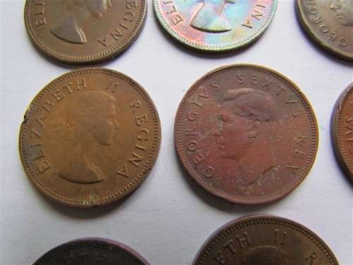 SA Union Half Penny Lot - See pics for dates & condition - 1 bid for all