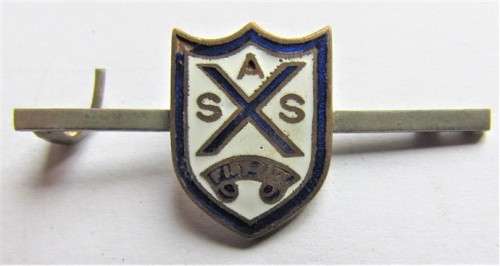 UNKNOWN VINTAGE ENAMELLED LAMBOURNE PIN BADGE