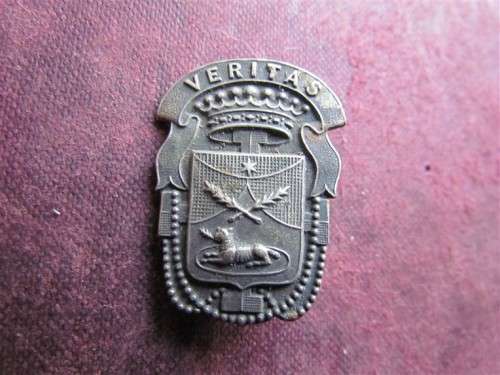 StDominics church badge