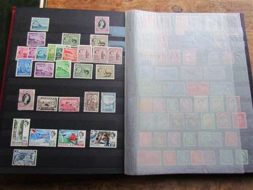 Very clean stockbook album + Vfine stamp collection