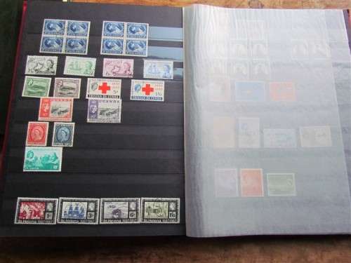 Very clean stockbook album + Vfine stamp collection