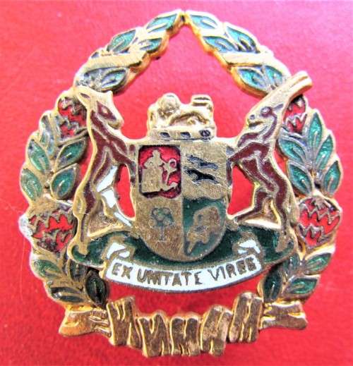 Enamelled Multi colour Ex Unitate Vires Cap Badge