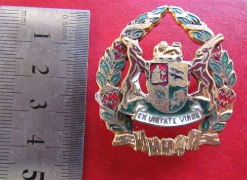 Enamelled Multi colour Ex Unitate Vires Cap Badge