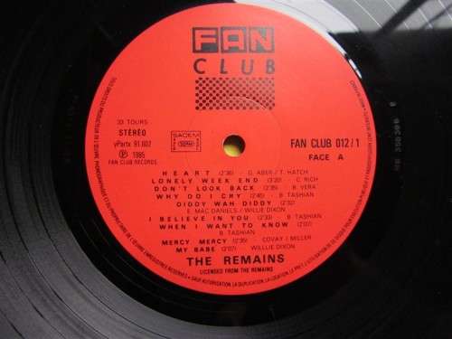 The Remains - Vintage 2 x LP Set - Scarce
