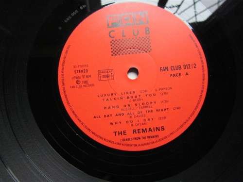 The Remains - Vintage 2 x LP Set - Scarce