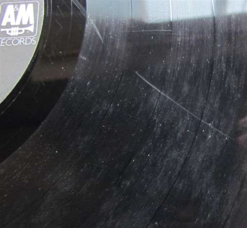 TONI CHILDS VINTAGE LP - UNION