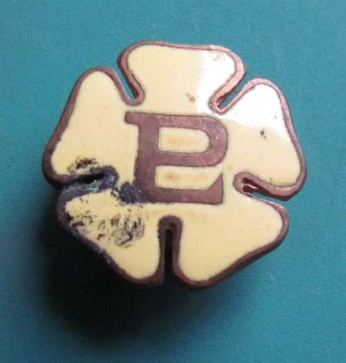 Primrose League Official Badge Enamelled Conservative Party
