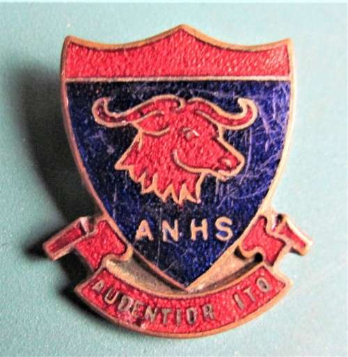 VINTAGE ANHS BADGE - ALIWAL NOORD HOER SKOOL