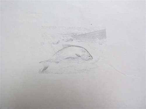 Portugal - Numbered #1226 Unfinished design for 1986 Europa Fish Stamp