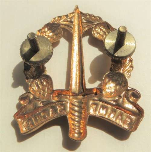 Military Police Cap Badge