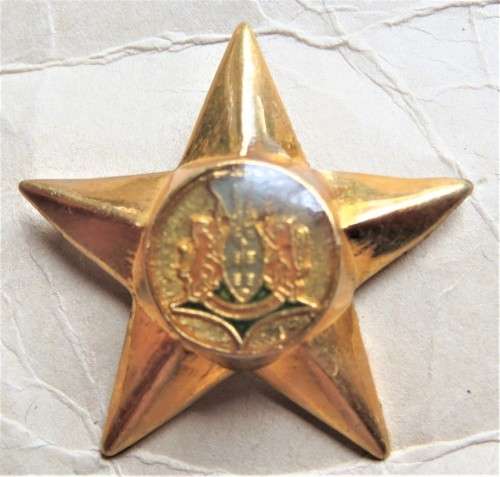 Kwa Zulu Police Officers Pip **SCARCE** Never Issued