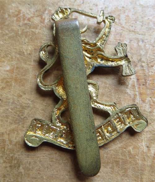 Dutch Rampant Lion WW2 Prinses Irene brigade Cap Badge + pin badge