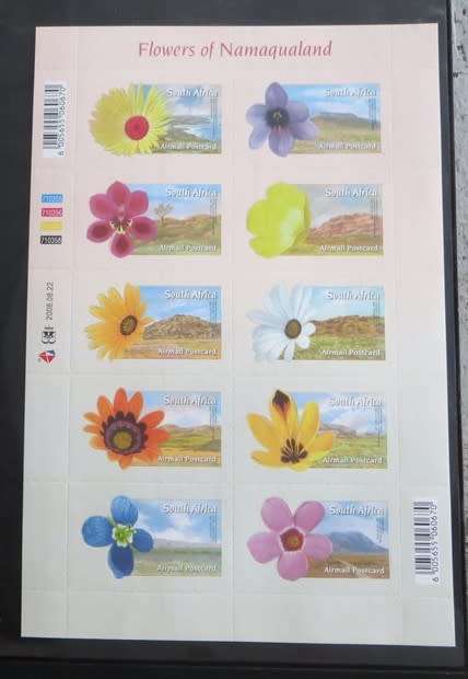 Flowers of Namaqualand Sheet Self Adhesive